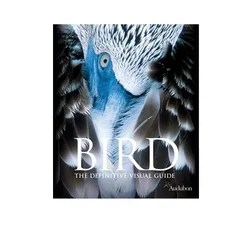 Bird The Definitive Visual Guide Omer Books - Download Creative Colorful Texture | HD