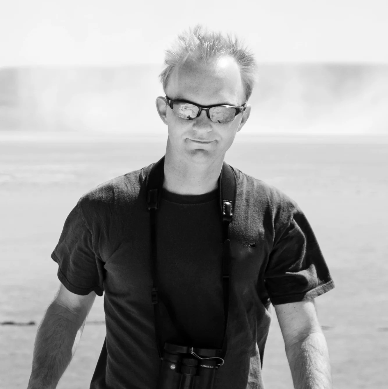 Atlantic Puffin Noah Strycker - Best Sunset Patterns in HD