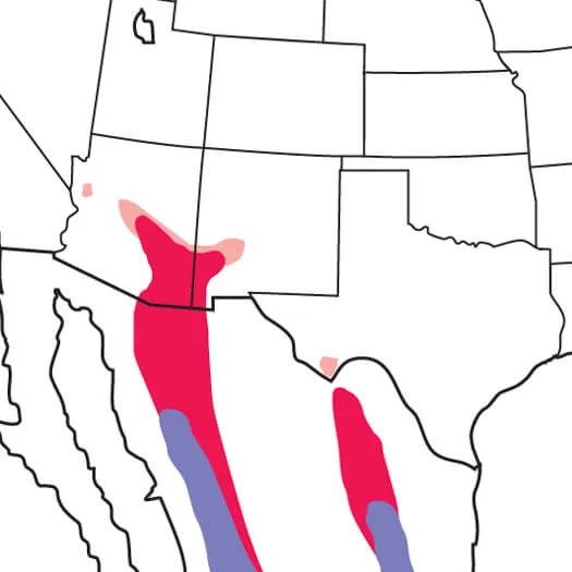 Painted Redstart Audubon Field Guide - Premium Nature Background Gallery - Mobile