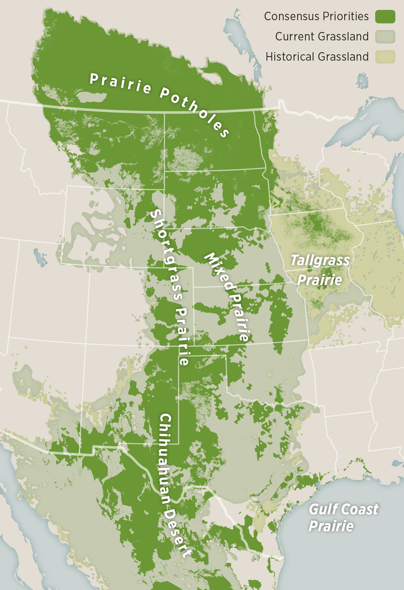 North American Grasslands Birds Report Audubon Report 1 Draft 05 24 19 1 