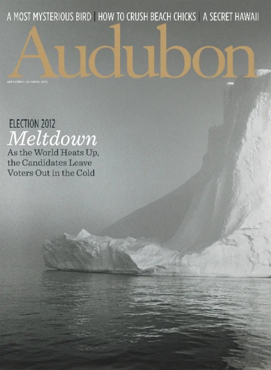 March April 2007 Audubon - Incredible Full HD Dark Illustrations | Free Download