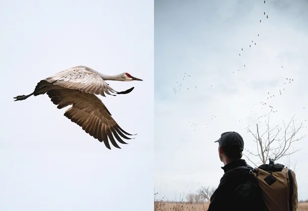 March April 2007 Audubon - Premium Mountain Picture Gallery - High Resolution