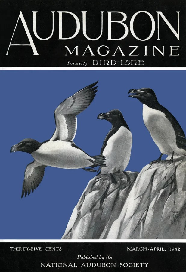 March April 2003 Audubon - Colorful Patterns - Artistic Retina Collection