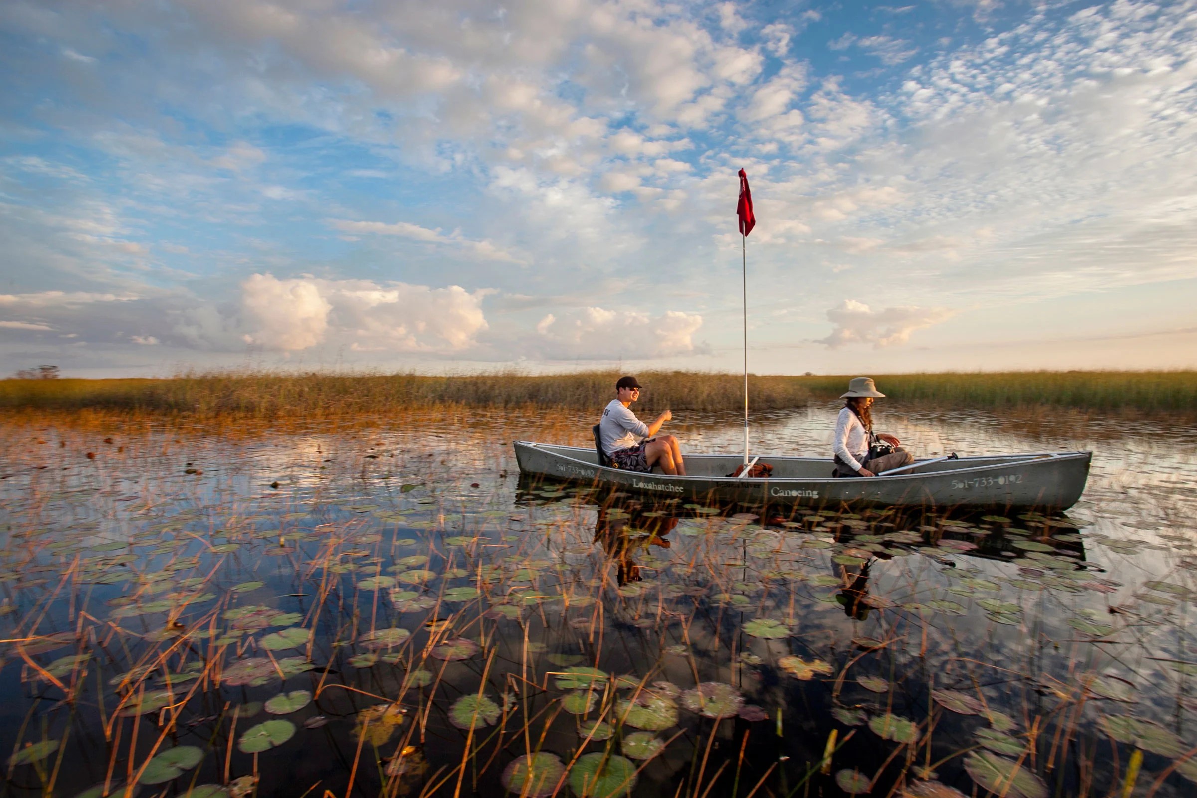 July August 2011 Audubon - Nature Patterns - Modern Full HD Collection