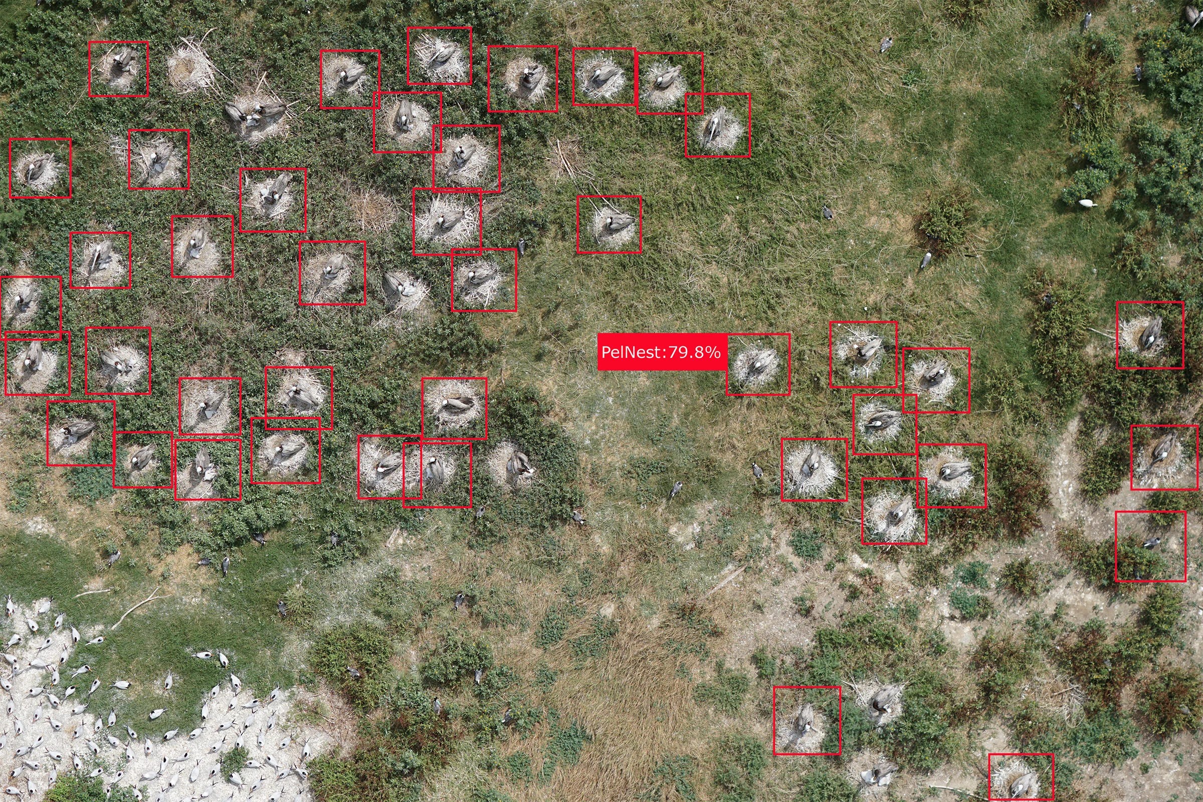 How Will Drones Affect Birds Audubon - High Resolution Space Illustrations for Desktop