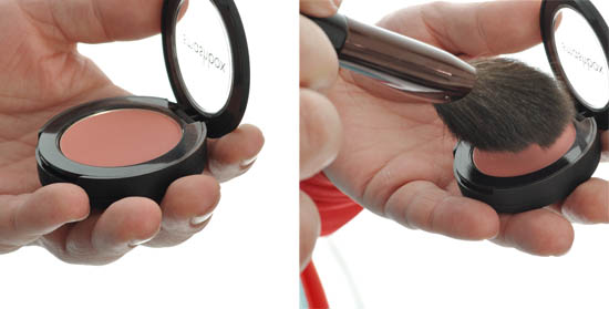 shiseido blush brush