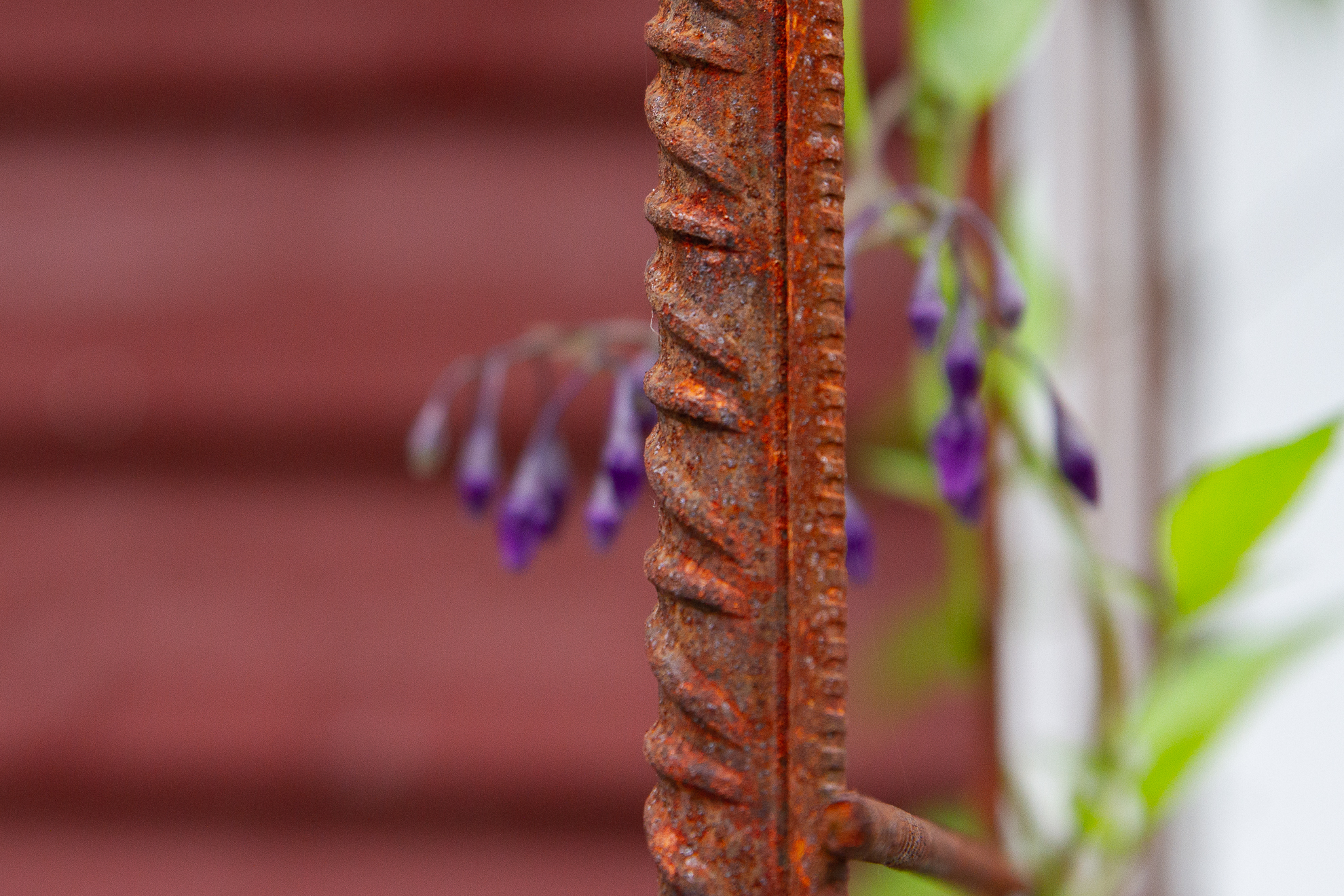 72 Rost (33) - av Eva