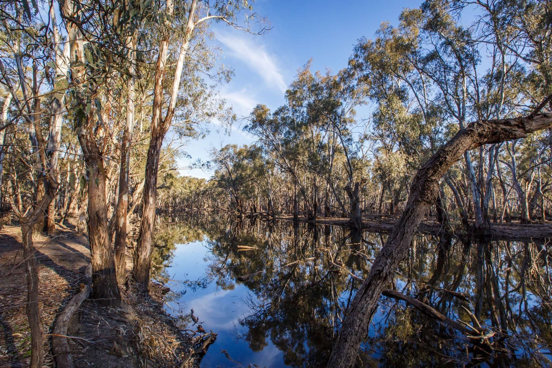 Nyah Vmfrp - HD Light Arts for Desktop