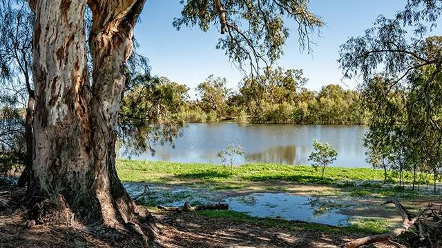 Nyah Vmfrp - Abstract Photo Collection - Ultra HD Quality