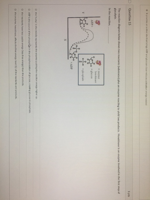 Solved: D Question 15 1 Pts The Reaction Diagram Below Sho... | Chegg.com