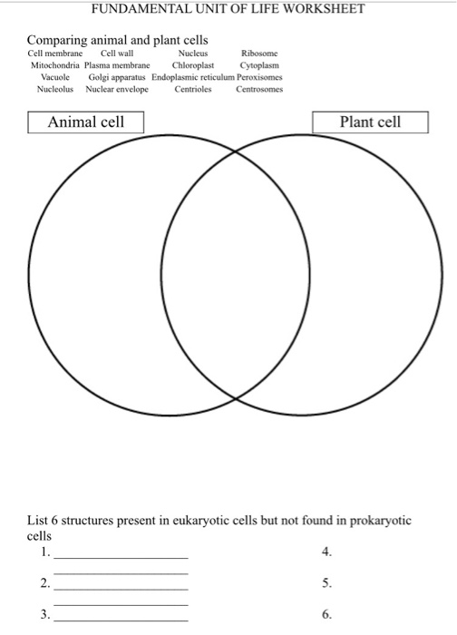 Animal And Plant Cell Worksheet / Animal And Plant Cell Esl Worksheet ...