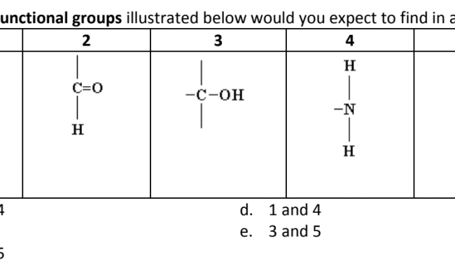 Solved B. 2 , And 3 E. 3 And 5 C. 2,4 , And 5 | Chegg.com