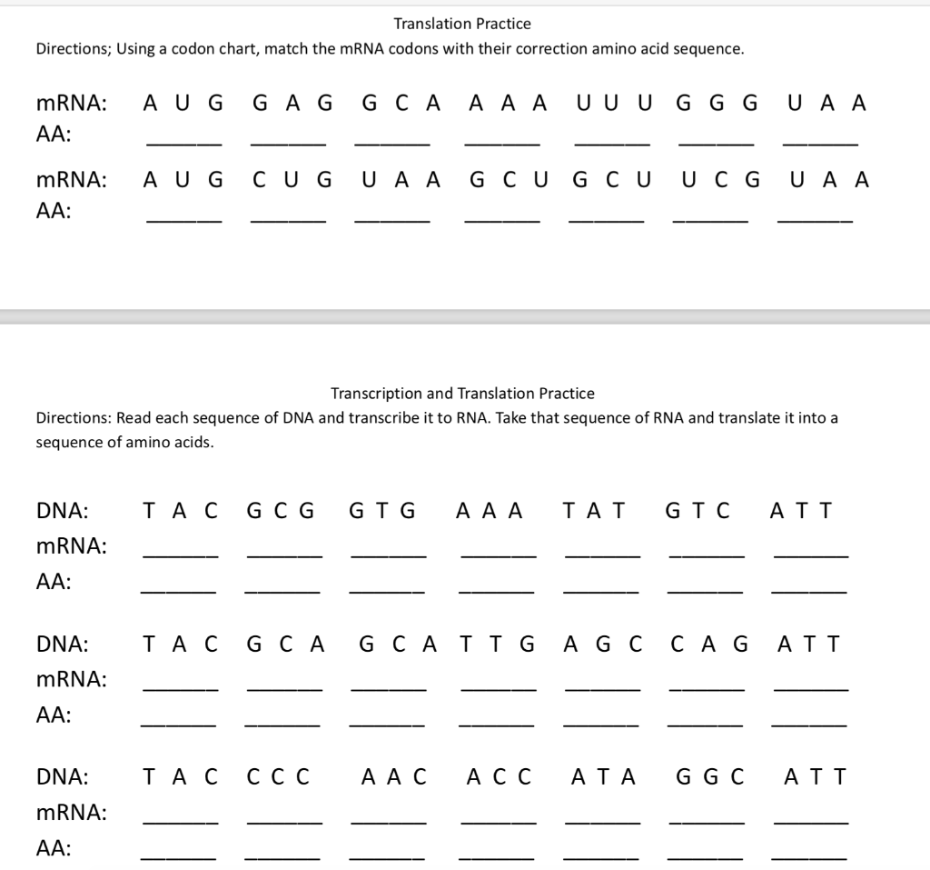 Dna replication coloring worksheet answer key. Solved Replication Practice Directions Complete The Stra Chegg Com