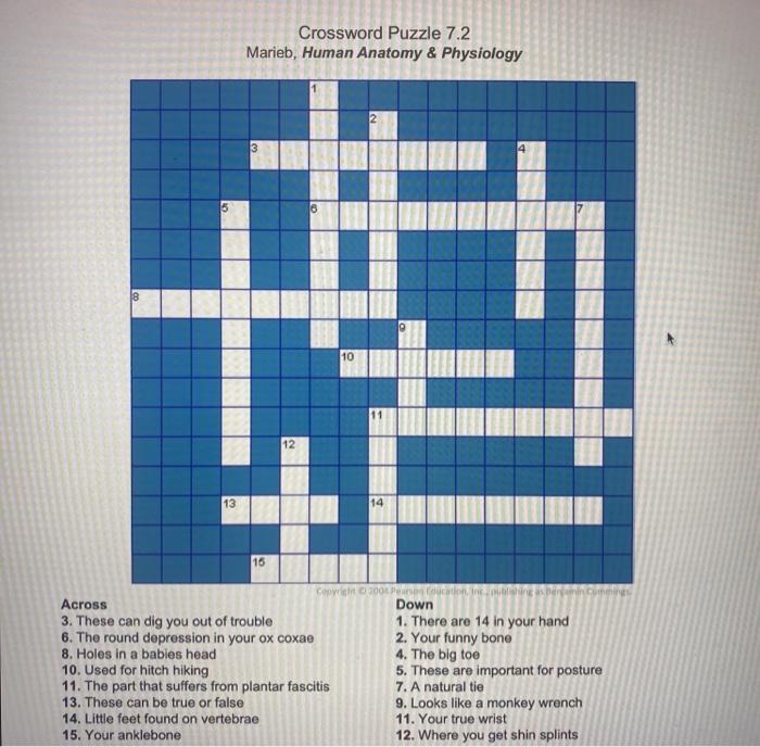 Check spelling or type a new query. Crossword Puzzle 7 2 Marieb Human Anatomy Chegg Com