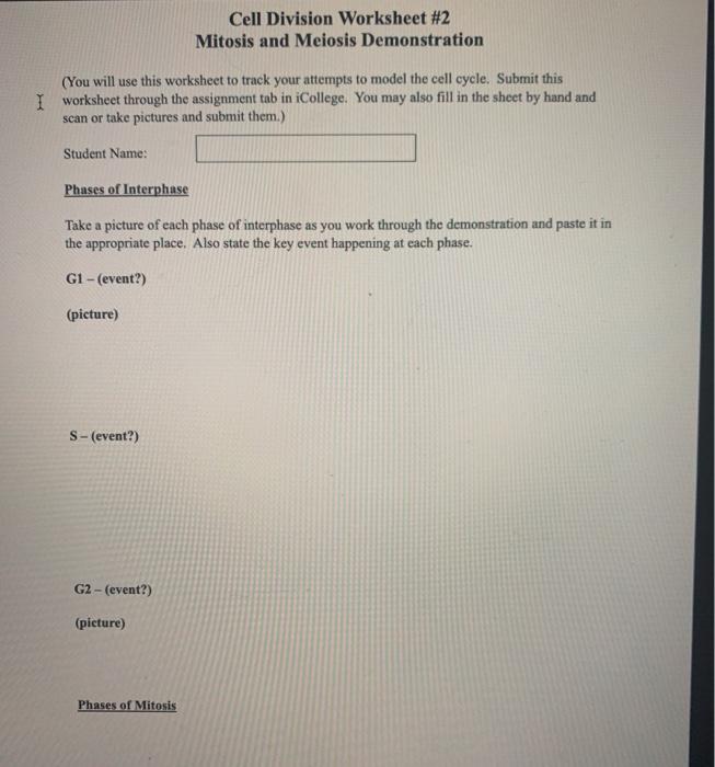 Let your students doodle their way through the cell cycle. Solved Cell Division Worksheet 2 Mitosis And Meiosis Dem Chegg Com
