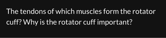 Solved the tendons of which muscles form the rotator cuff?