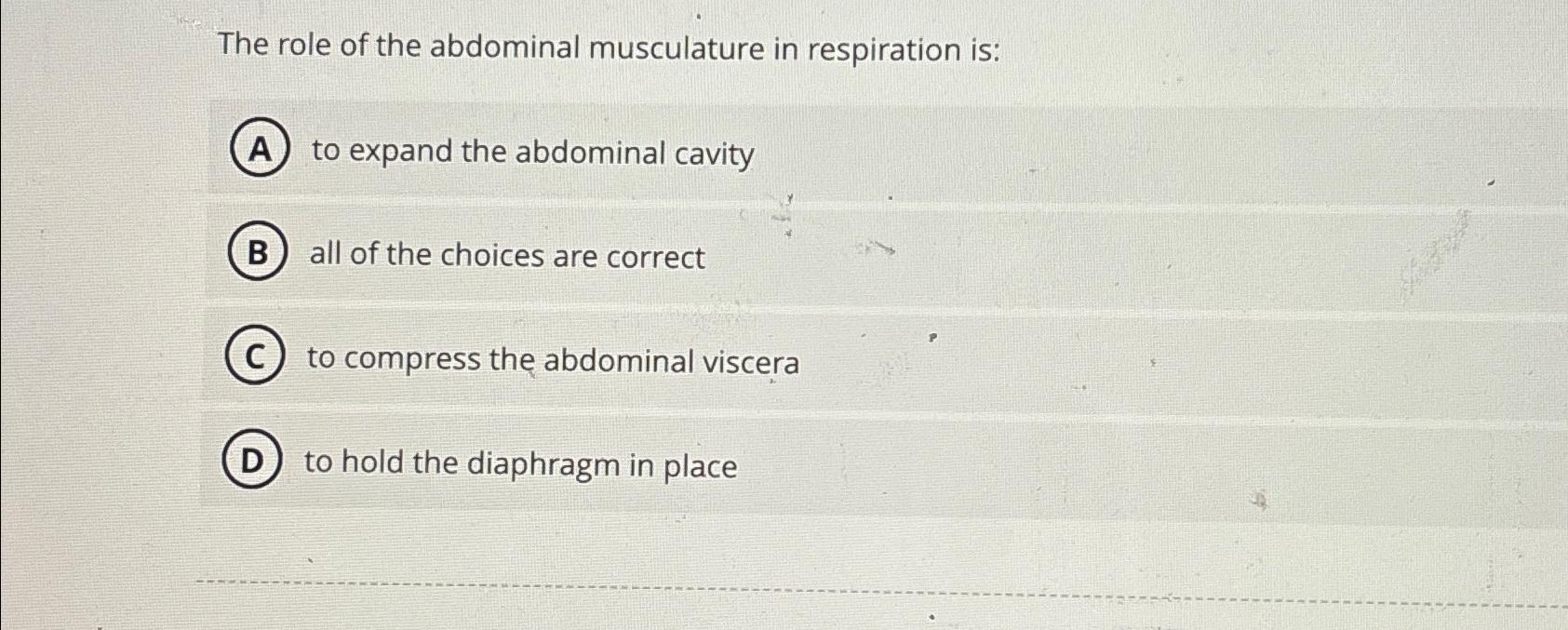 Solved the role of the abdominal musculature in respiration