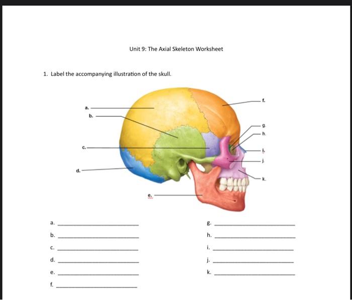 Pen and ink, or line art, goes back to renaissance literary and scientific books, which were printed using woodcuts to produce illustrations of black lines on white paper. Solved Unit 9 The Axial Skeleton Worksheet 1 Label The Chegg Com