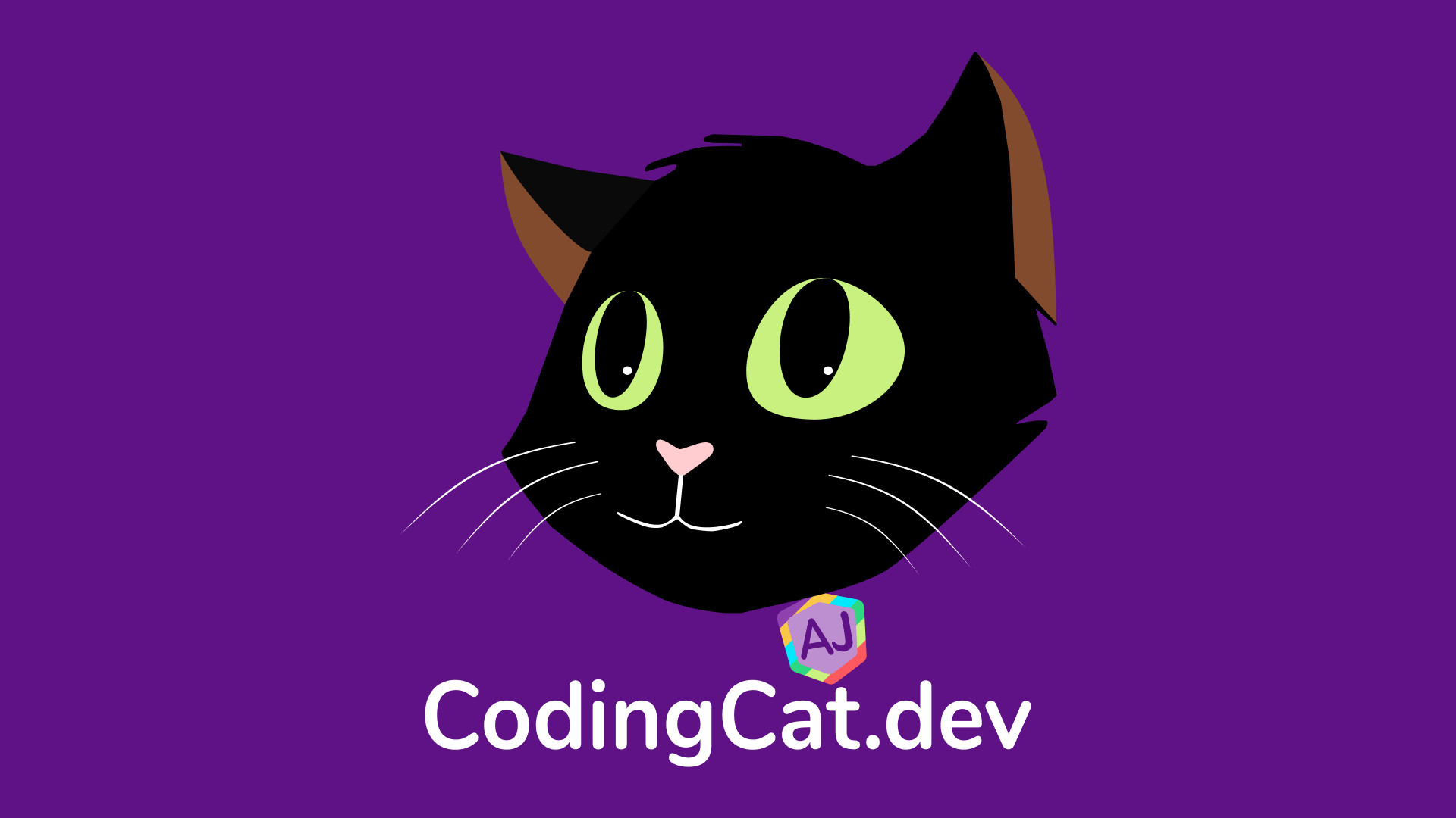 Codingcatdev