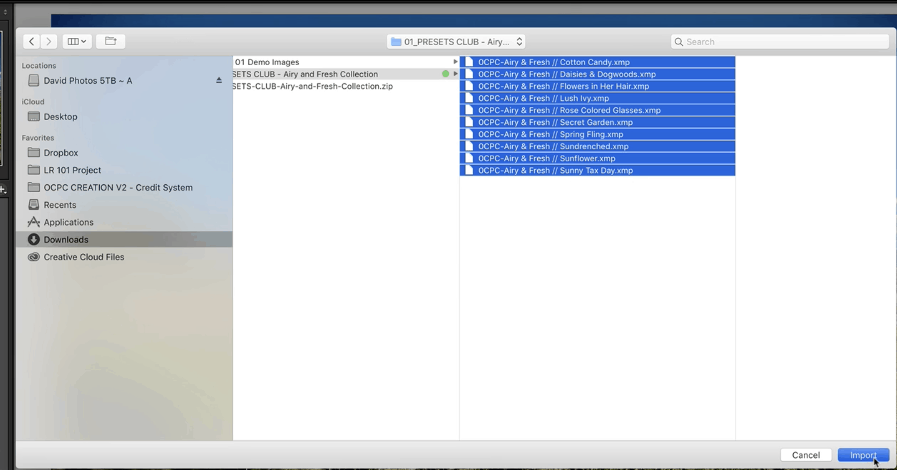 How to import lightroom presets