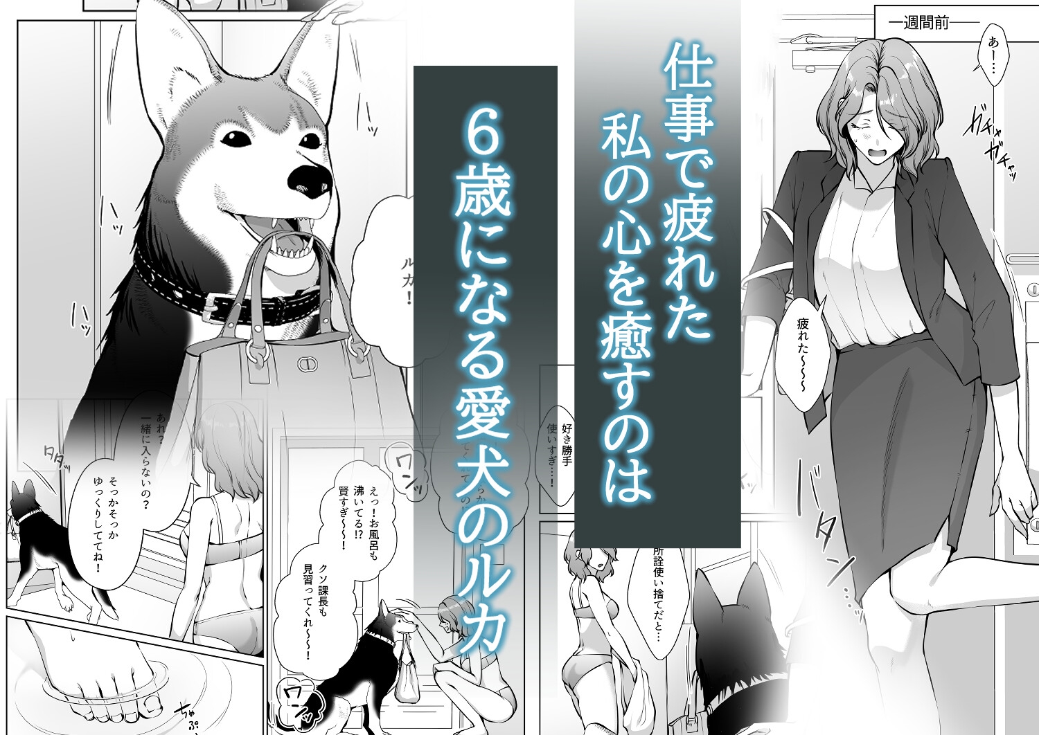 感想】イケオジになった愛犬が 毎晩私でオ〇ニーしてます 【体格差TL漫画 】 - DLチャンネル みんなで作る二次元情報サイト!