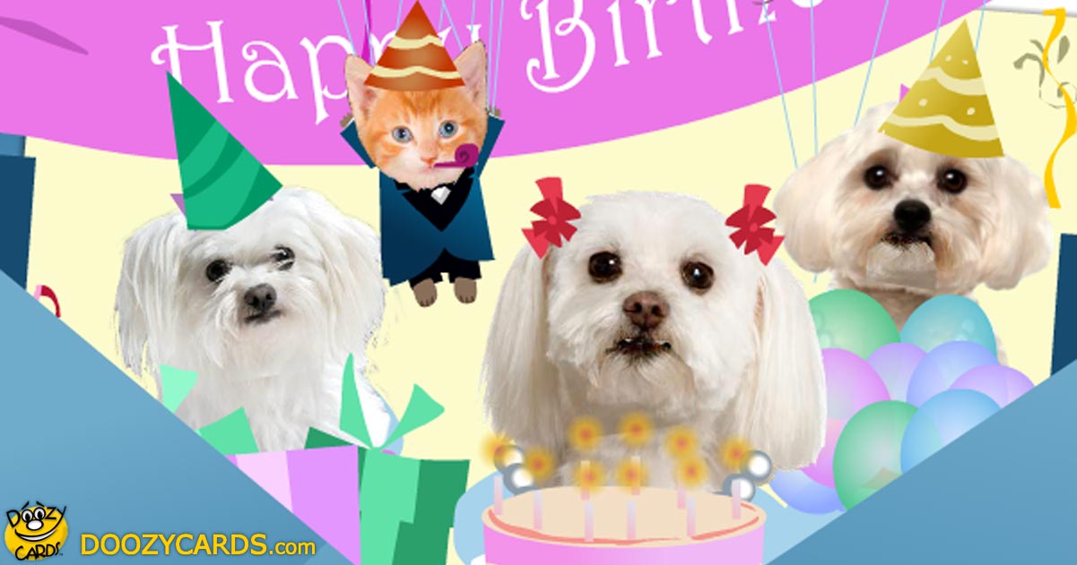 The collection of birthday ecards for sister here affords each of these styles for each style of woman. Birthday Greetings with Dogs | Singing Birthday E Cards