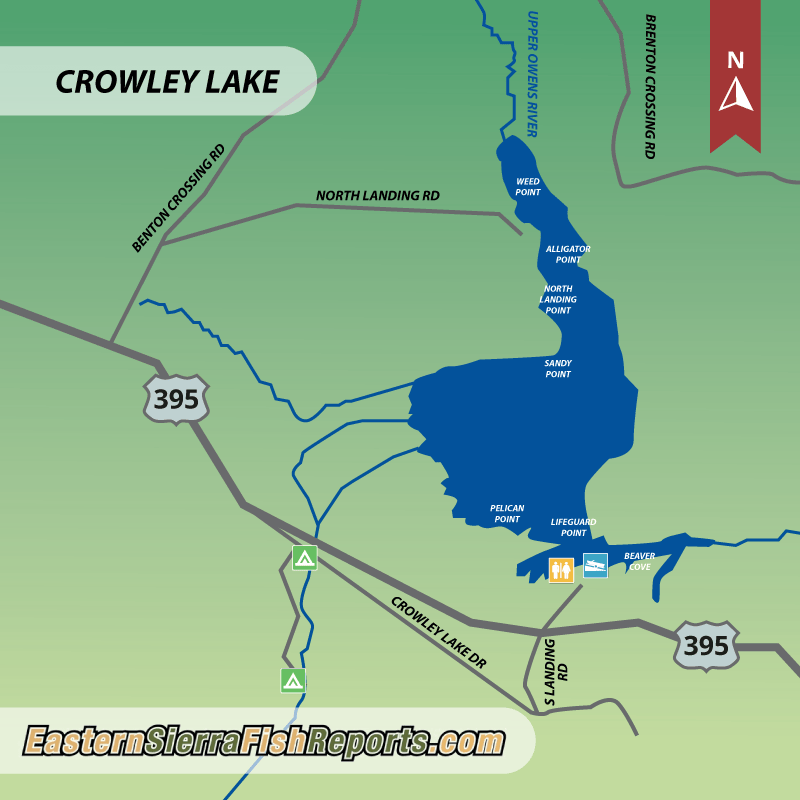 Crowley Lake Fish Reports Map 1162585 082421 