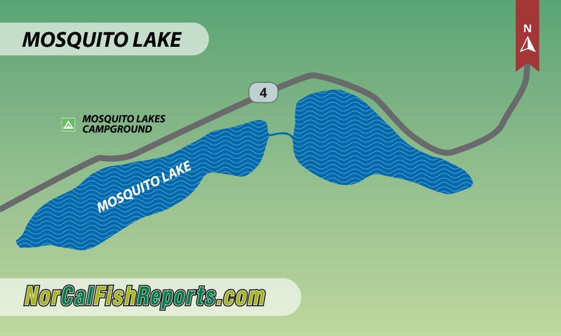 Mosquito Lakes Fish Reports Map Mosquito Lake Detail 