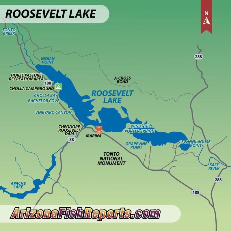 Roosevelt Lake Fish Reports Map 