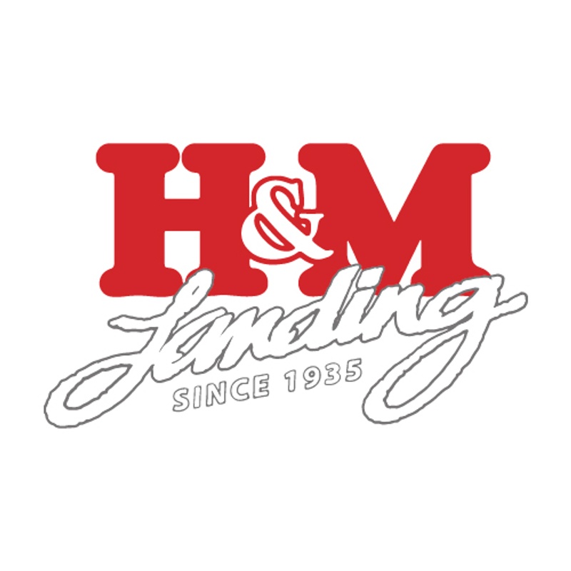 Cover Image of the Post