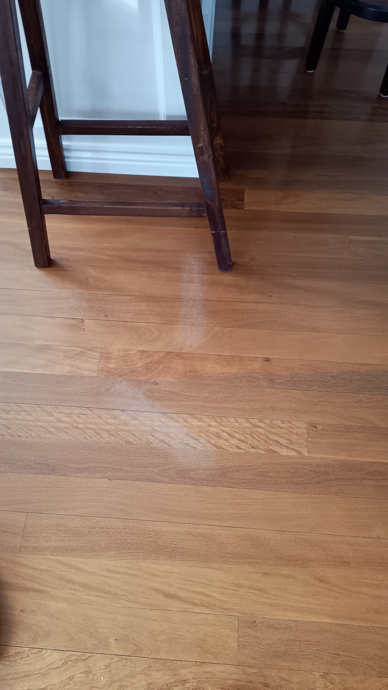 Do steam cleaners harm wood floors at bill voigt blog