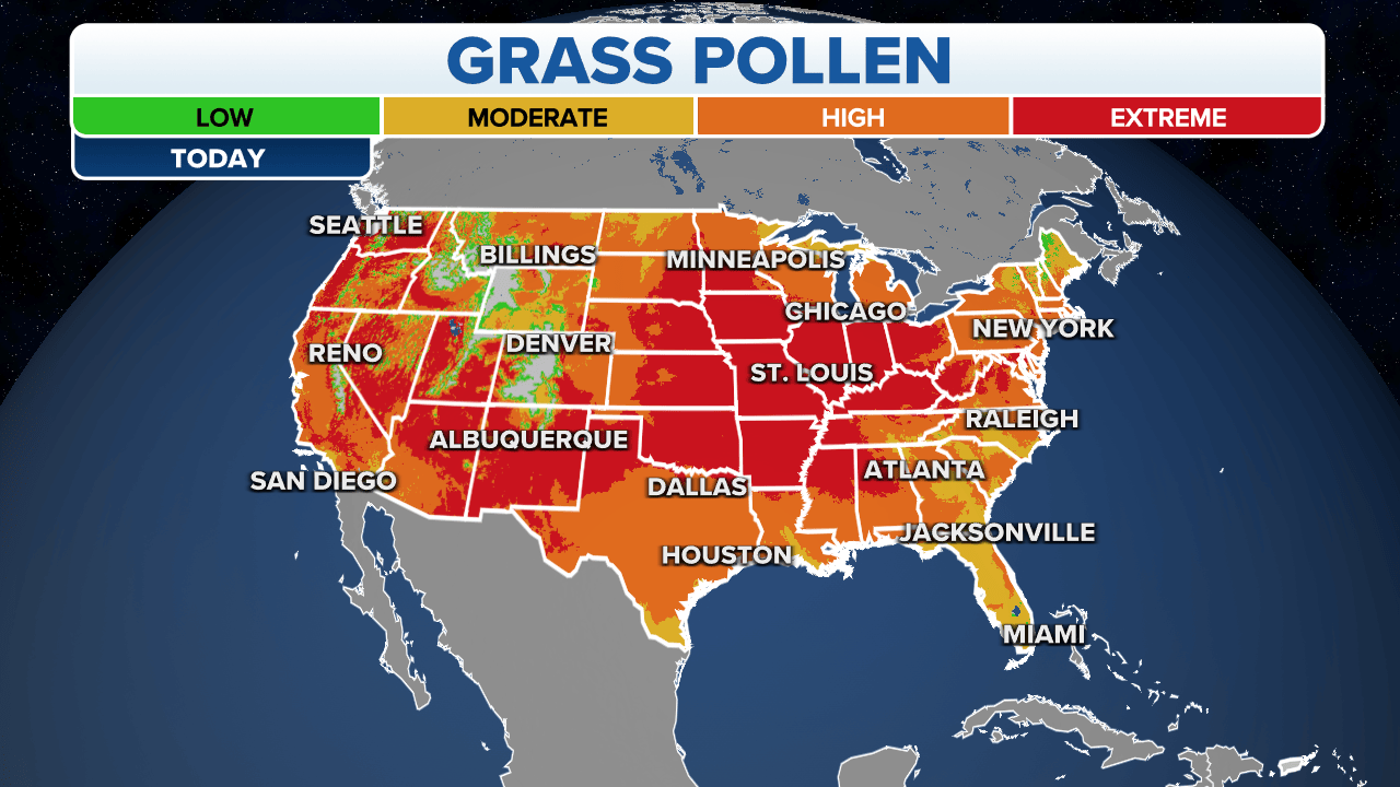 Ragweed Pollen Map Grass Pollen National 