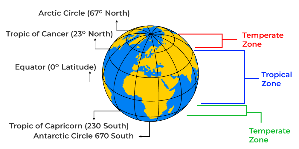 Temperate evergreen forests