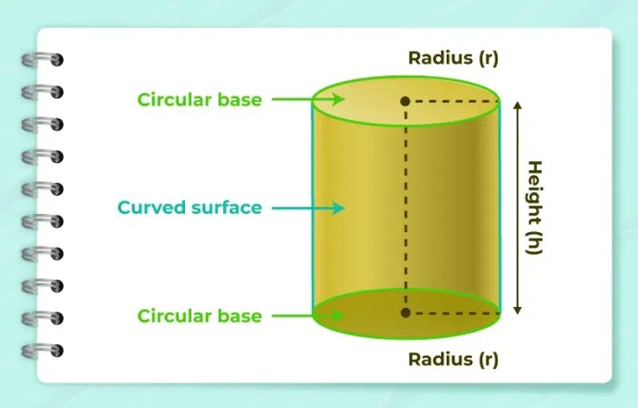 Cylinder in Math: Definition and Examples