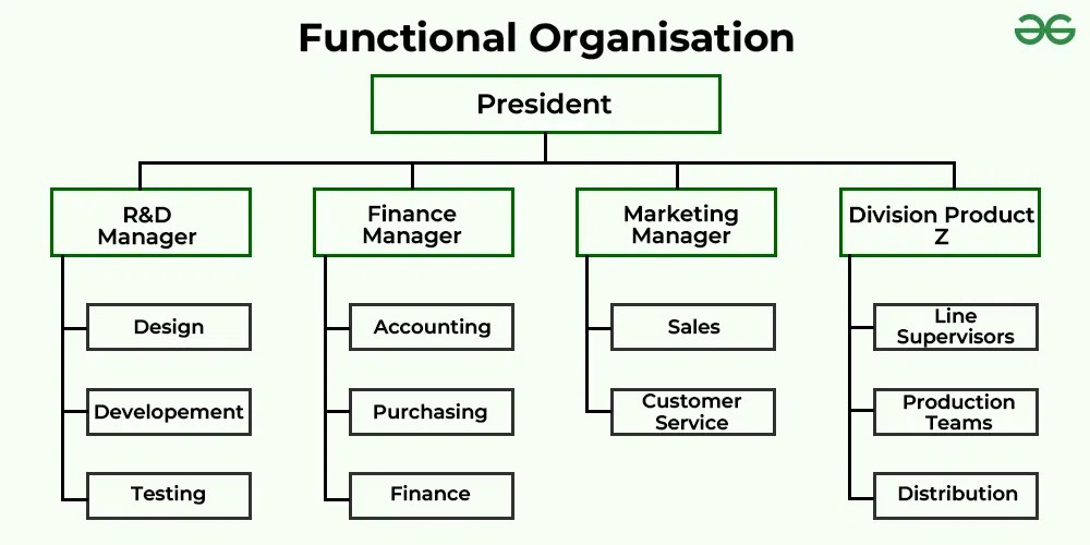 6 types of organisation structure