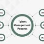 Talent Management : Meaning, Importance And Process | GeeksforGeeks