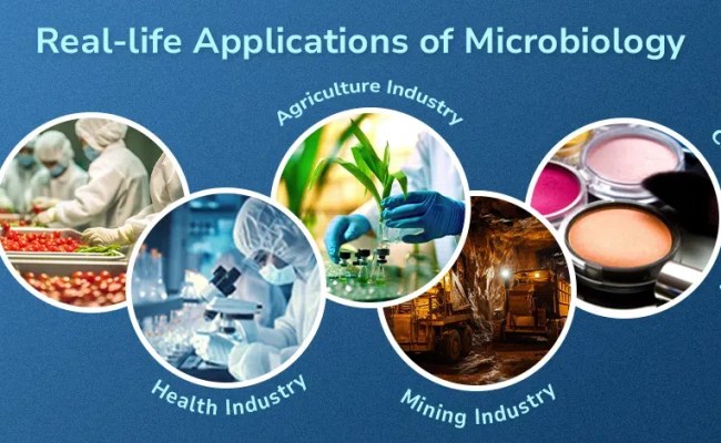 Real-Life Applications Of Microbiology - GeeksforGeeks