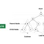 Tree Data Structure | GeeksforGeeks