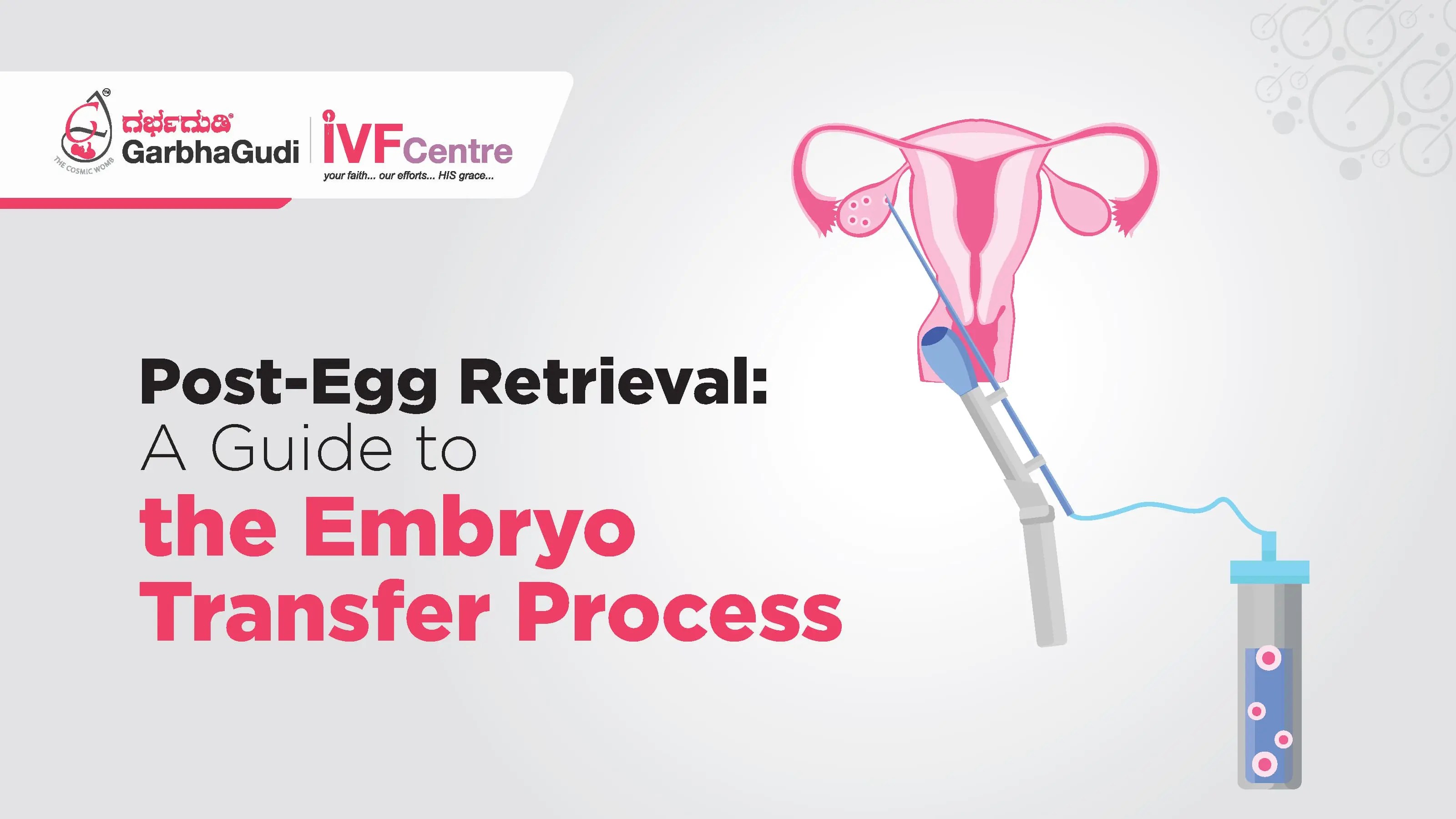 Post-egg retrieval: a guide to the embryo transfer process