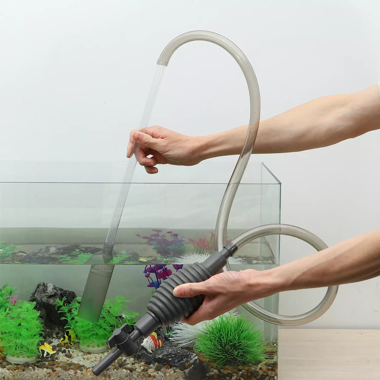 Python Aquarium Cleaner Aquariumia - HD Landscape Patterns for Desktop