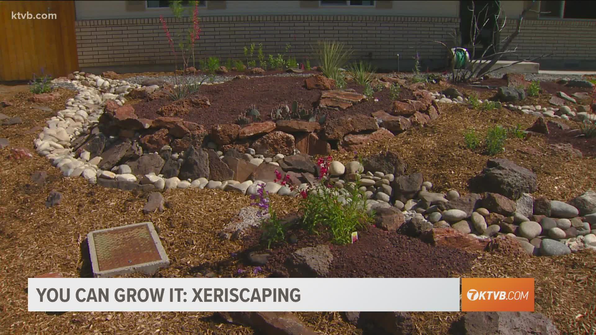 Xeriscaping is the process of landscaping, or gardening, that reduces or eliminates the need for irrigation. You Can Grow It Saving Water With Xeriscaping Ktvb Com