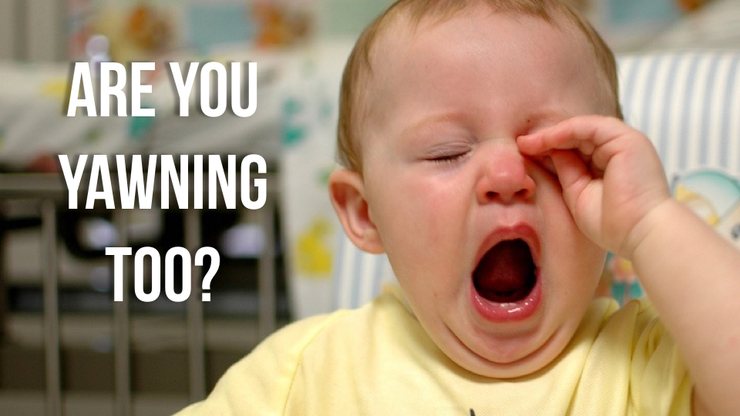 Yawning Myth Busted Why Is Yawning Contagious