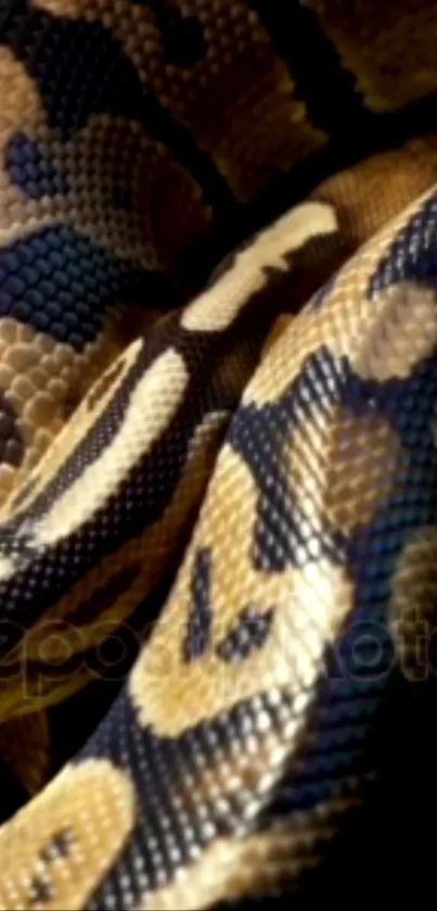 Python Skin Pattern Background 34466228 Png - Retina Landscape Backgrounds for Desktop
