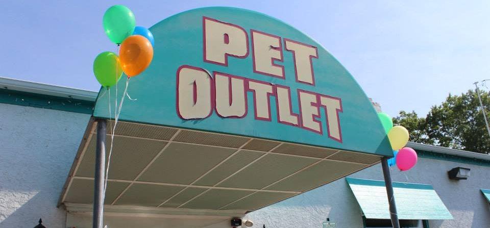 toms pet outlet - norristown pa 19403 610-666-6616 animals pets on toms pet outlet reviews