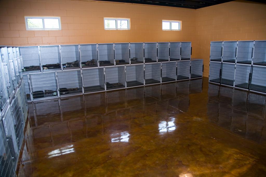 small suite room from pampered pets inn in mooresville nc 28117 on pampered pet inn mooresville nc