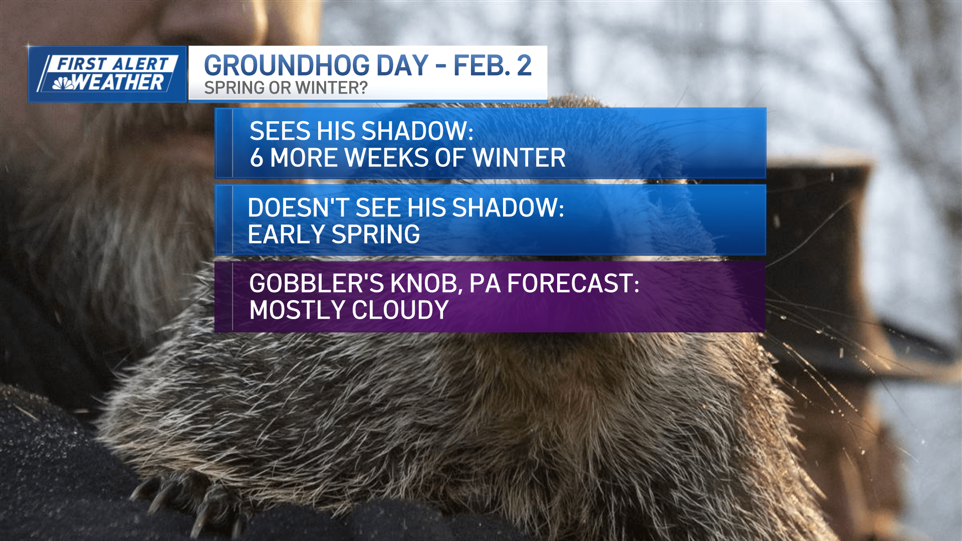 Groundhog Day Nbc Com - Space Wallpaper Collection - Full HD Quality