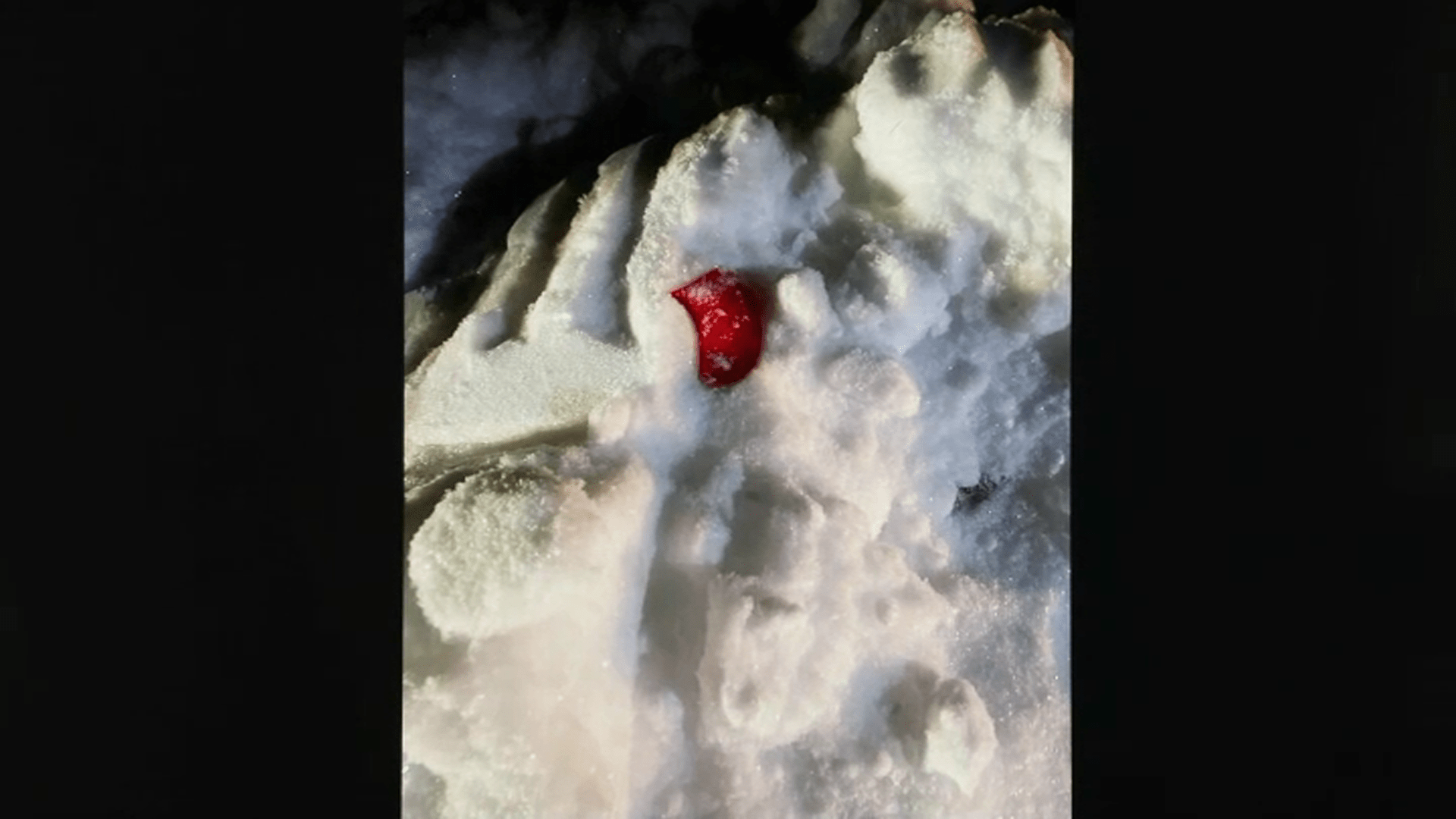 What Happened In Karen Read Trial Day 10 Voicemails Taillights Nbc - Best Nature Illustrations in Ultra HD