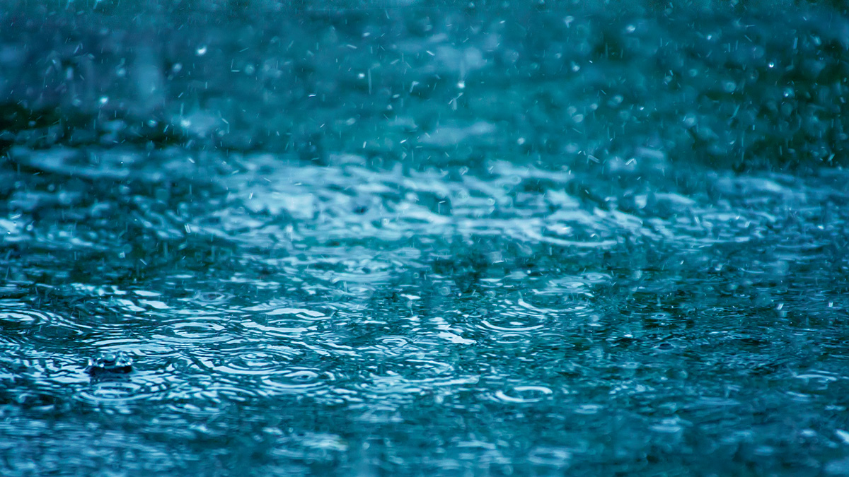 Warmer, drier temperatures ahead after stormy day in Chicago area – NBC Chicago