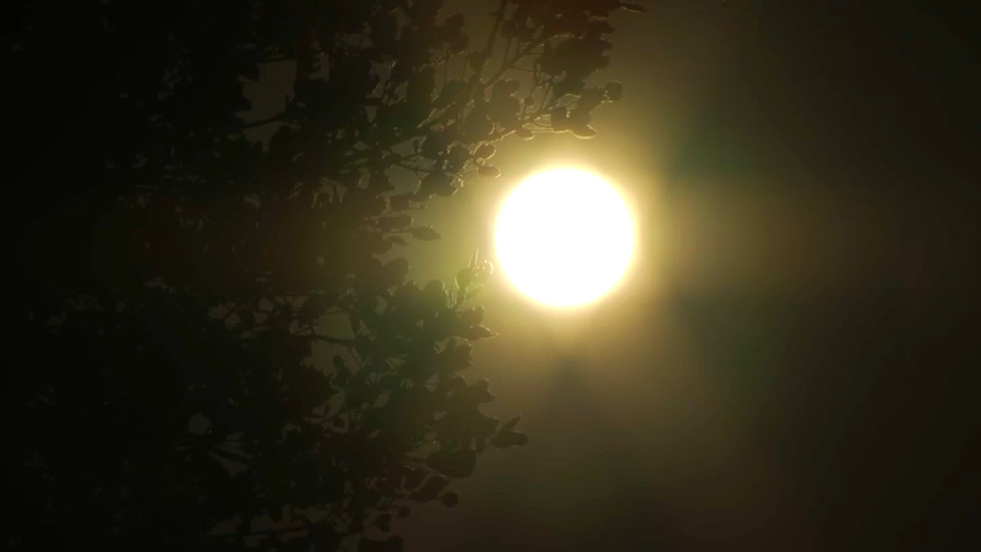 Warmer Temps, Threat of Rain on Horizon for Chicago Area This Week - Vimarsana News