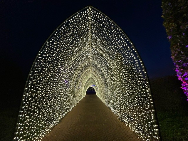 ZooLights